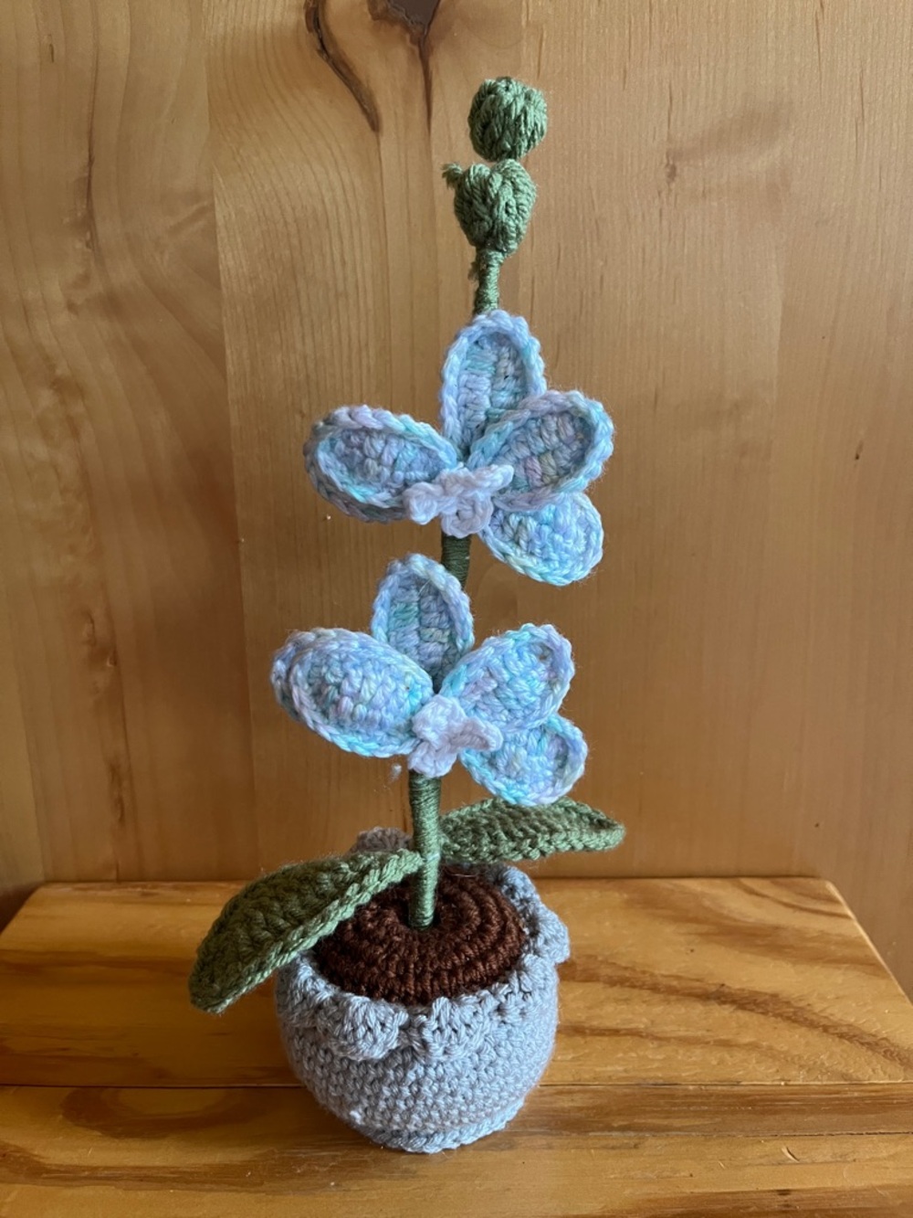 Handmade Crocheted Floral Orchid in Pot - Pastel Blue & Green